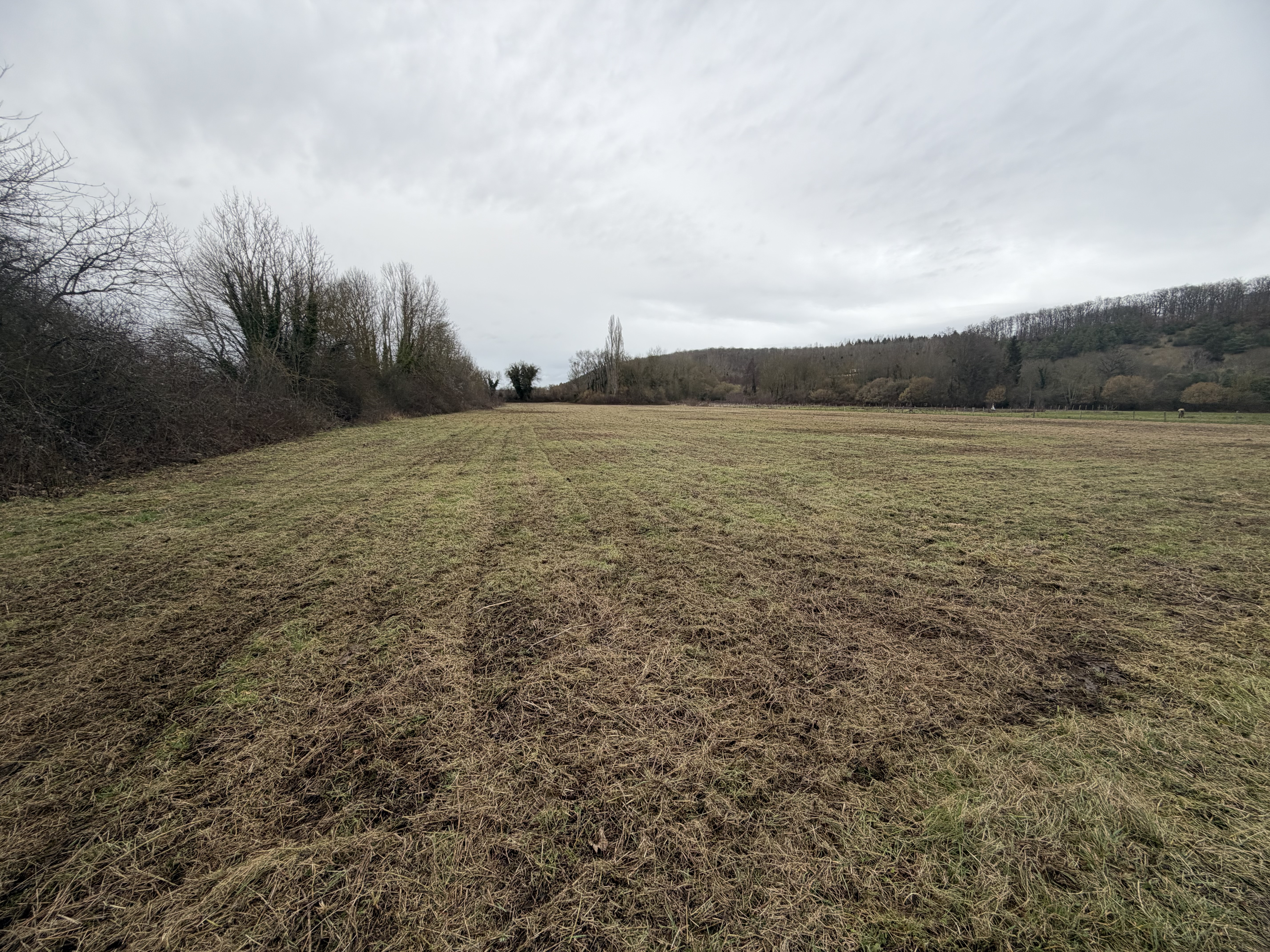 Gyrobroyage d'un grand terrain