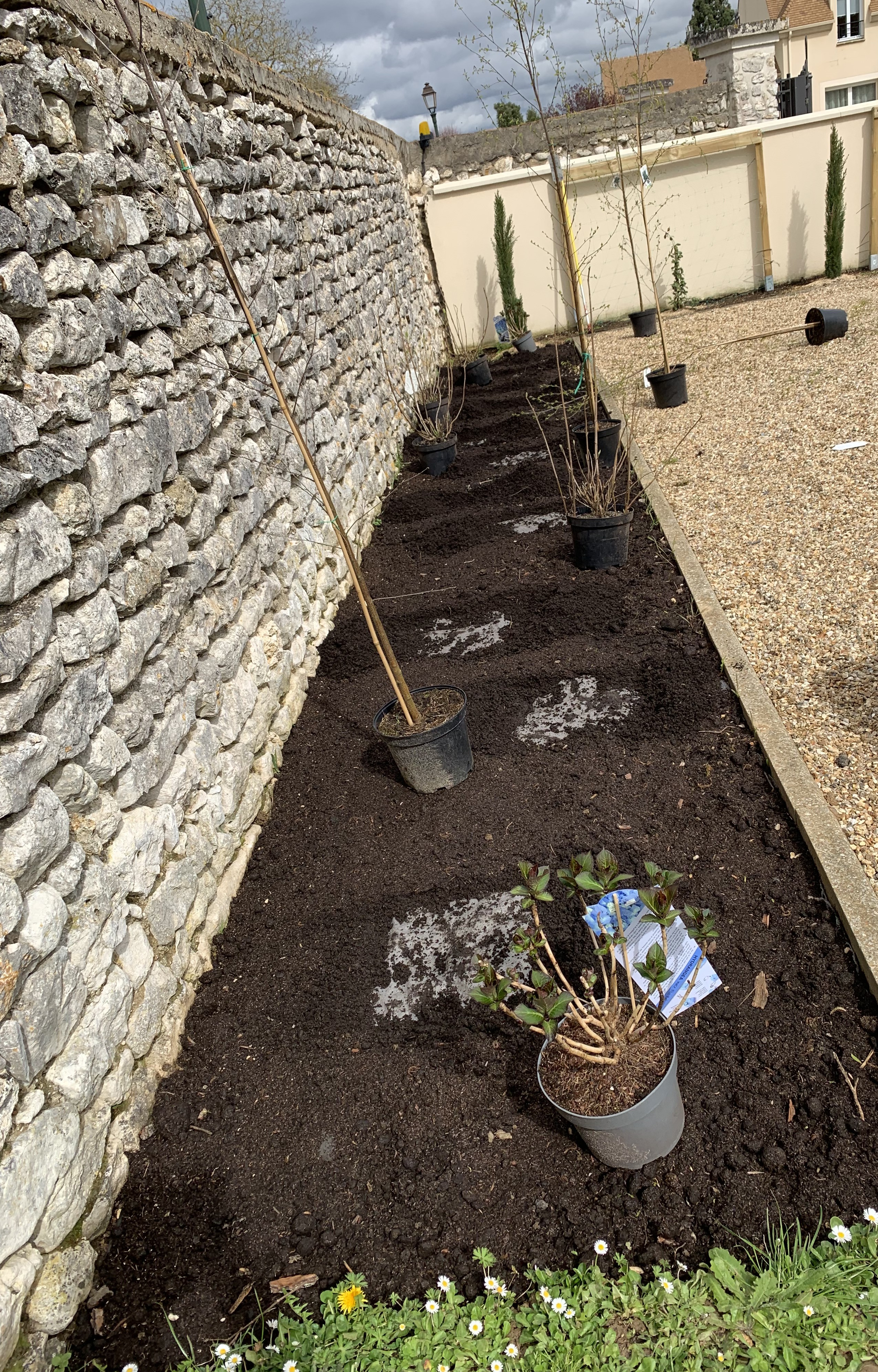 Plantation d'essences locales