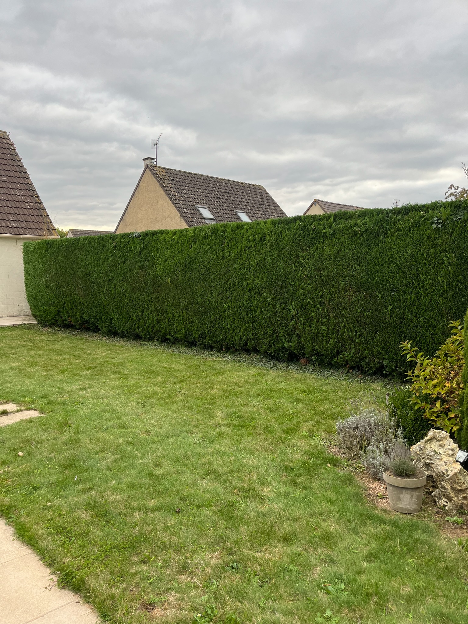 Tonte et taille régulières d'un jardin