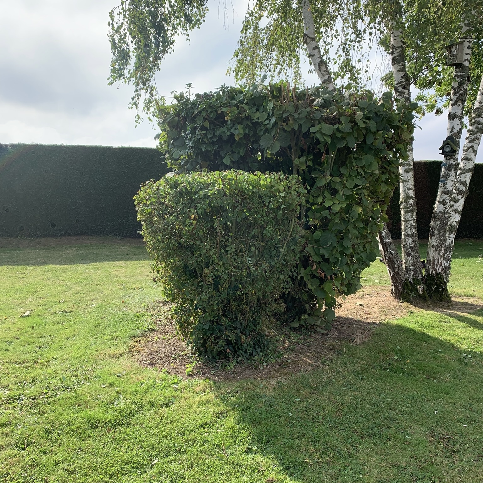 Entretien saisonnier d'un jardin